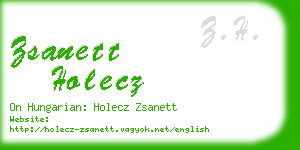 zsanett holecz business card